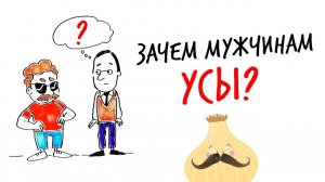 Зачем мужчинам УСЫ? — Научпок