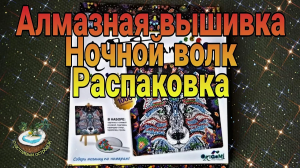 ?Алмазная мозаика Ночной волк? Распаковка и результат✨