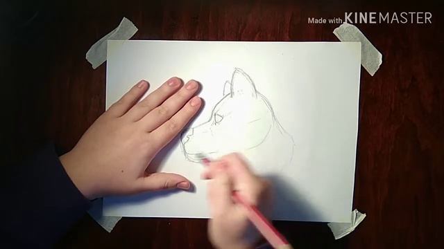 Урок рисования. Голова собаки (начальный уровень!)