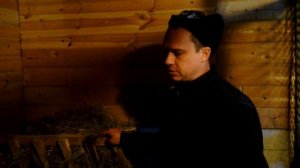 Содержание коз зимой// содержание в естественных условиях