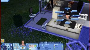 The Sims 3 on Remote Desktop (2020/02/07)