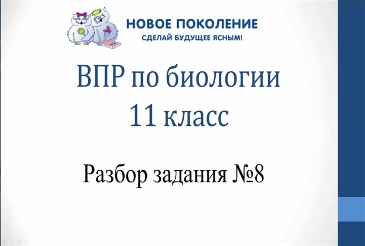 Биология. Разбор 8-го задания ВПР по биологии 11 класс