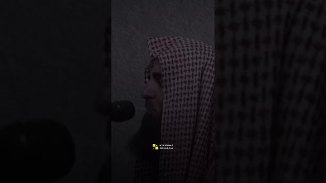 Мухаммад аль Люхайдан ? #коран? #quran #quranvideo #таухид #единобожие #единобожие