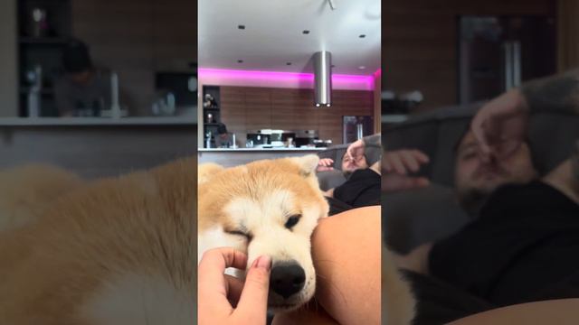 Цитаты великих мыслителей: "Лучше трещина в пятке, чем в ж*пе" ☝🏻 смотреть онлайн