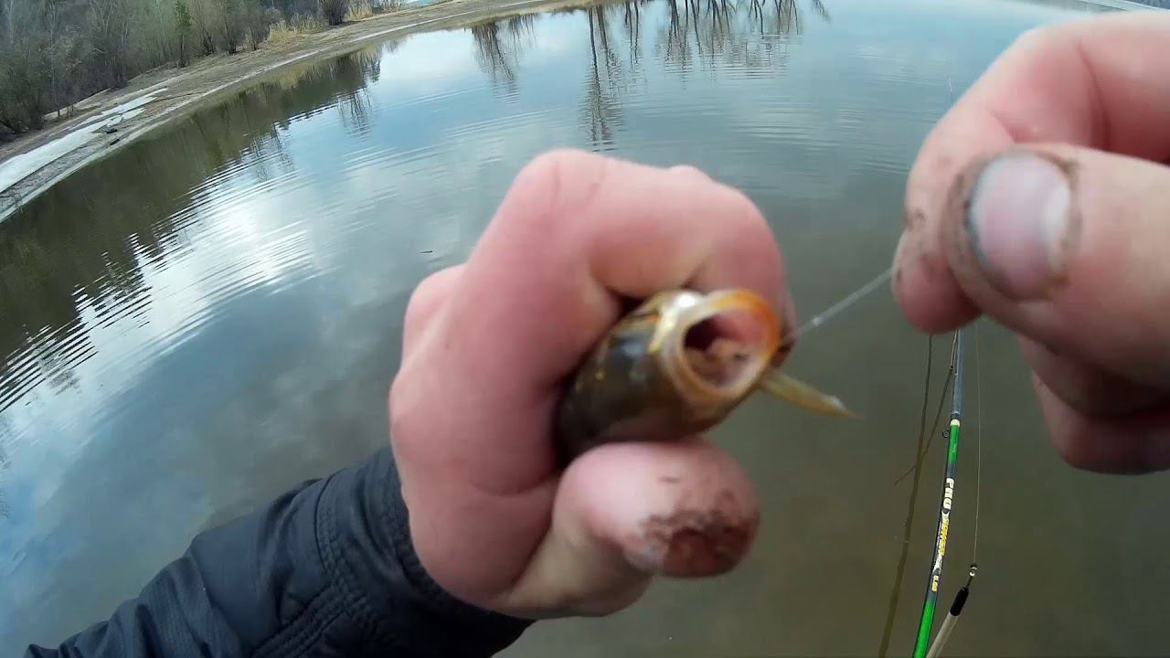 ДОНКА,ПОПЛАВОК,ГУСТЕРА,КРАСНОПЁРКА,И ДАЖЕ РАК ;) смотреть онлайн