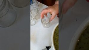 У вас есть такая ягода? Плоды Актинидии на зиму!