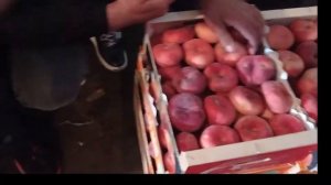 Овощная база "ВЕГЕТТА" в Хлебниково. Обзор цен. Август 2021.