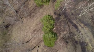 Как выглядел склон до вырубки деревьев под ЛЭП в Обнинске