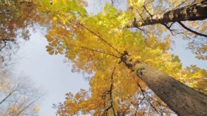 Таллин Эстония, Презентация