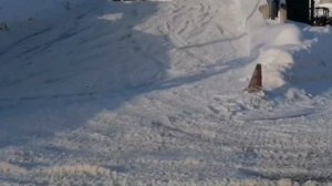 квадрокрос гонки на  детских КВАДРОЦИКЛАХ мотоленд