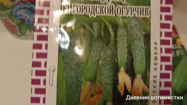 Фиалки, помидоры, огурцы на окне, опыт неудачный, им мало света, видео 19 апреля