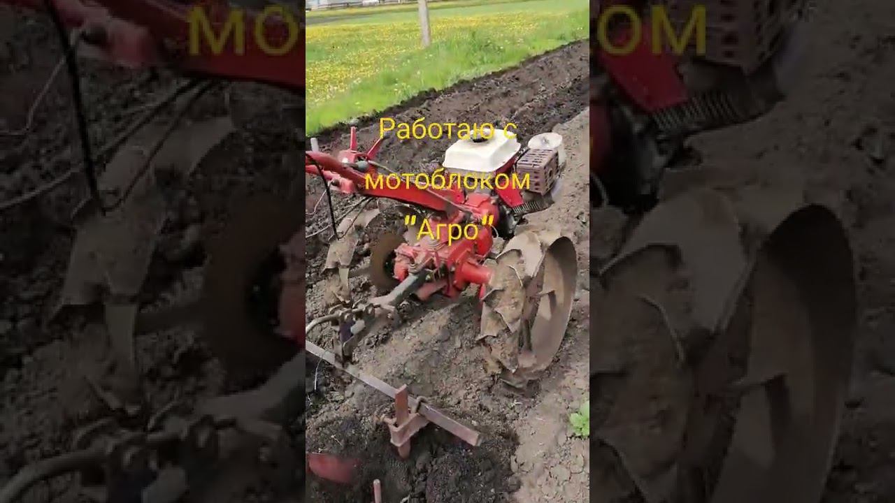 Окучиваю картошку с мотоблоком Агро. Первое окучивание.