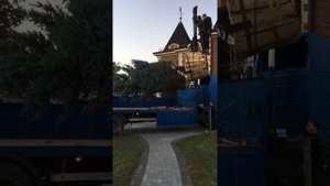 Пересадка ели крупномера