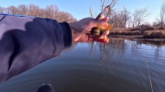 ПЕРВЫЙ ТРОФЕЙ ОСЕНИ! РЫБАЛКА С ЛОДКИ. смотреть онлайн