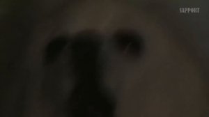 Самые смешные ремиксы ★ 12