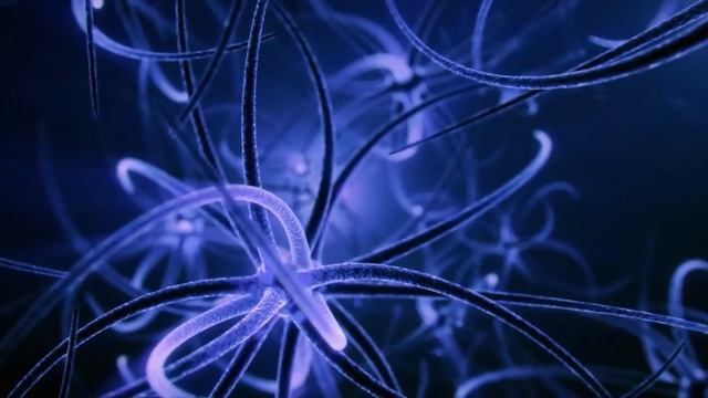 Убери причины страданий практикуя это 20 мин в день. Медитация от Далай Ламы смотреть онлайн