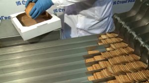 Машина-стеккер для сортировки и укладки печенья на ребро СТК-2