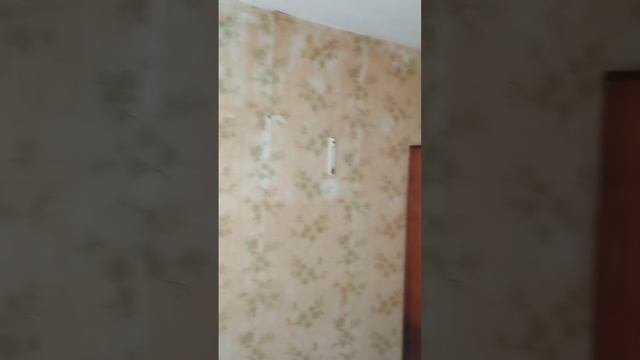 Видеопоказ