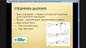 вебинар "Базовые понятия о технике плавания стиля кроль на груди"