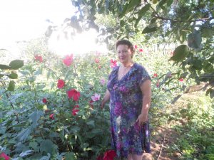 Гибискус комнатный_ Китайская роза_ Уход и размножение