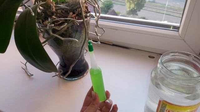 ЯПОНСКИЕ удобрения, пробую на очень СТАРОЙ цветущей ОРХИДЕИ /УЧИТЕСЬ НА МОИХ ОШИБКАХ смотреть онлайн