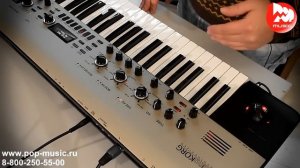Синтезатор KORG KINGKORG - аналогово-моделирующий