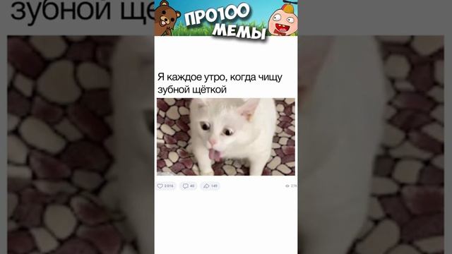 #мемы2022 #смешныекоты #мемы #приколы #юмор #мемыскотами #мемыдня #мемасы #котики #коты #про100мемы