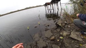 Рыбалка на фидер | фидерная рыбалка в ноябре | фидерная ловля леща | рыбалка 2020