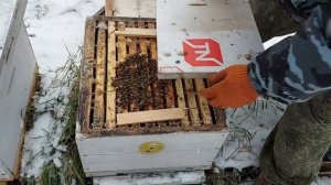 Зимовка пчел на воле/2 варианта вентиляции улья/спасение слабых семей