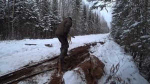Самый сложный МЕТАЛОКОП сезона. Копать больше НЕВОЗМОЖНО! Задействовал все РЕСУРСЫ.
