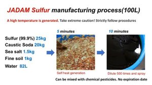 JADAM Brief Introduction - Ultra Low-Cost JADAM Organic Farming