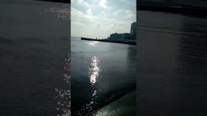 Что такое умиротворение 😀