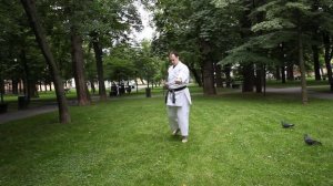 Вадо. Урок 9. Ката 5 - Пинан годан