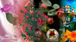 Поздравляю любимую женщине с днем рождения