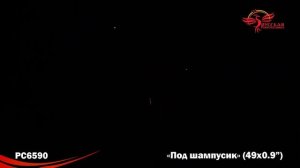 Обзор фейерверка Под шампусик РС6590