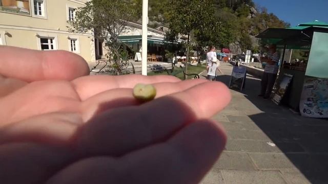 ВЛОГ ЧЕРНОГОРИЯ ?? / Риека Црноевича / Скадарско езеро / Релакс для души 11 октября 2018 г. смотреть онлайн