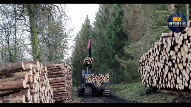 Станки и техника по обработке дерева