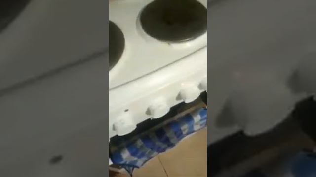 Стерлядь с картошкой и грибами смотреть онлайн