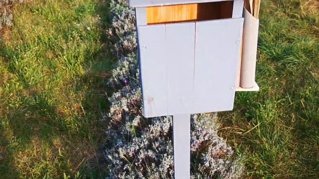 Новый Мастер-класс с лавандой : масло и акрил смотреть онлайн