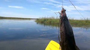 змейголов 1