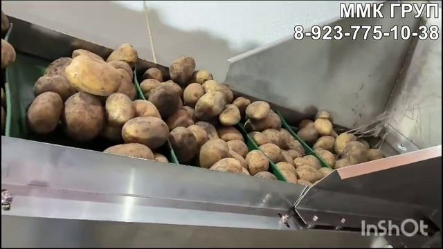 Подающий транспортер для загрузки картофеля, свеклы, моркови смотреть онлайн