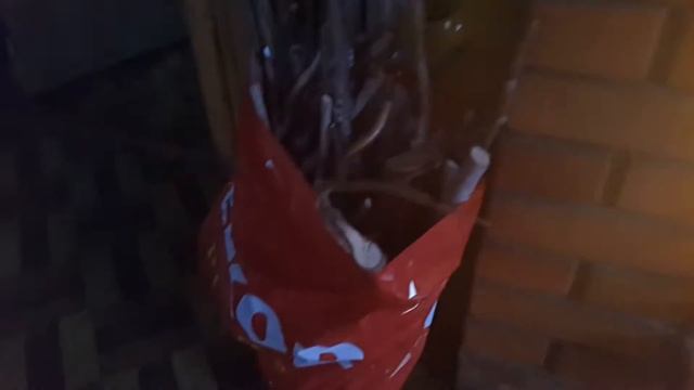 На даче у камина смотреть онлайн