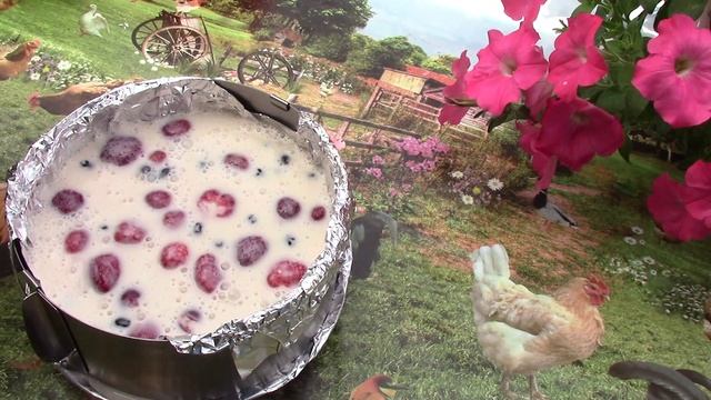 Торт -суфле Птичье молоко с ягодами и фруктами