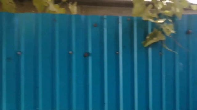 Топлю сама баню или воскресный девичник! смотреть онлайн