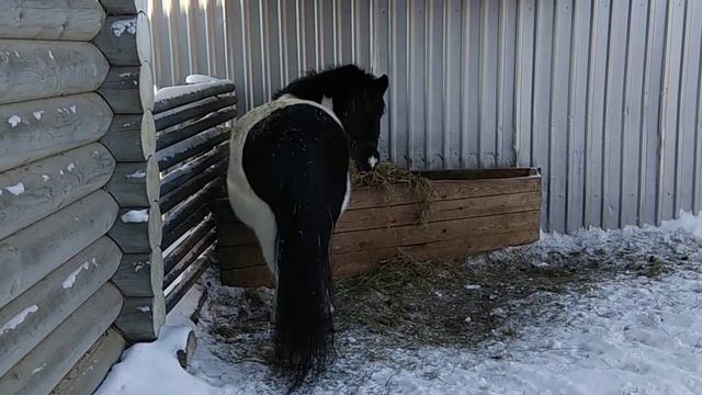 Питомник экзотических животных 