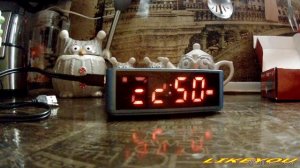 Портативная акустика Defender Enjoy  M800 BT/Alarm/FM/USB