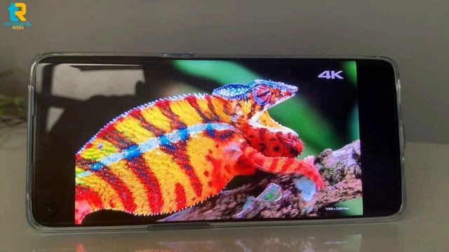 Oppo Reno 5 Pro 5G Unboxing & First Look | Dimensity 1000+