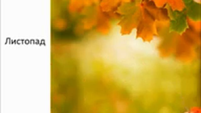 осенний листопад смотреть онлайн