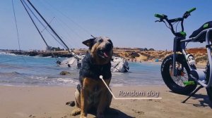 2020 Ruff Cycles Lil'Buddy eBike REVIEW