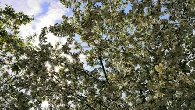 про смерть тесака смотреть онлайн